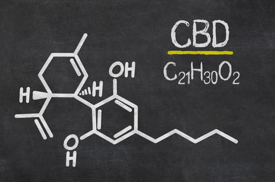 The Difference Between CBD Isolate and Full Spectrum Hemp Products